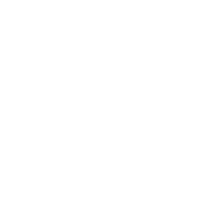 Weisses smart Logo
